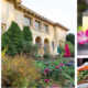Athena-Kennedy-School-event-blog-header